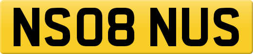 NS08NUS